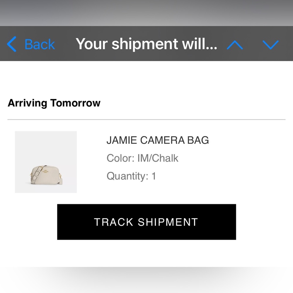 Coach Jamie Camera Bag in Chalk